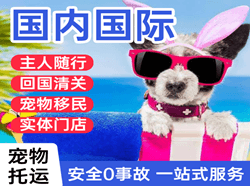 巴马航空快运国际宠物托运 【国